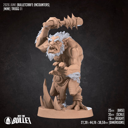Young Troll 1