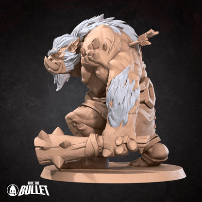 Brutish Troll Ogre