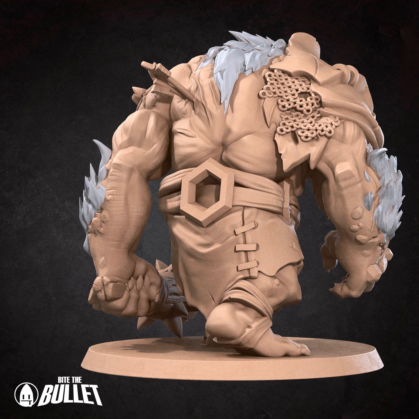 Brutish Troll Ogre