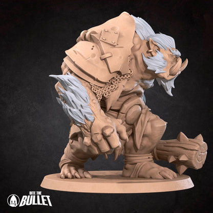 Brutish Troll Ogre