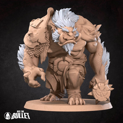 Brutish Troll Ogre