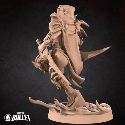Val Dark Elf Rogue - Master Assassin