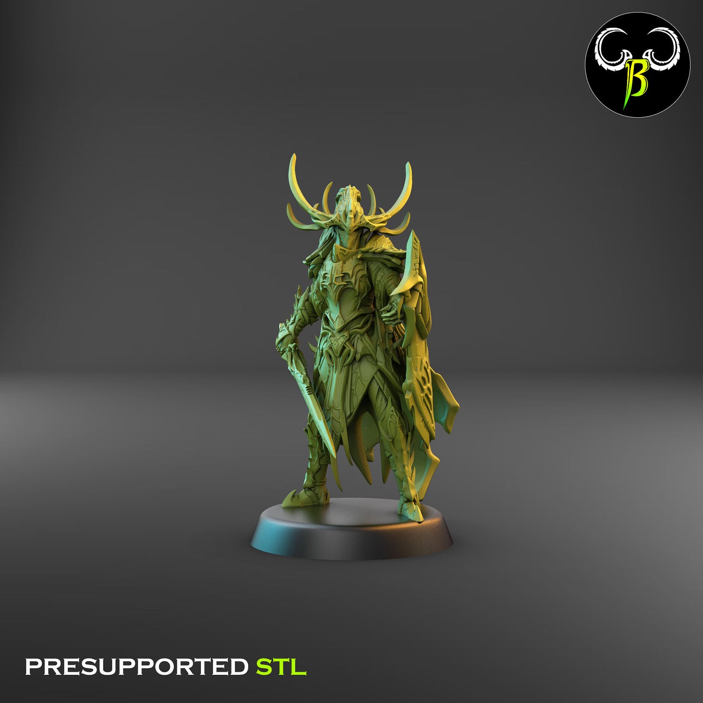 Dark Elf Venom Lord 1