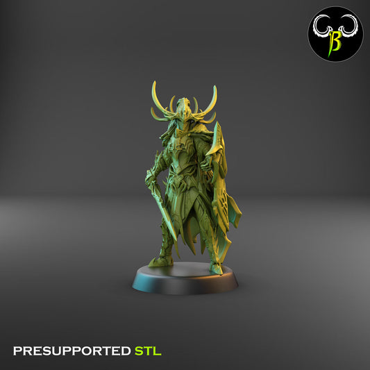 Dark Elf Venom Lord 1