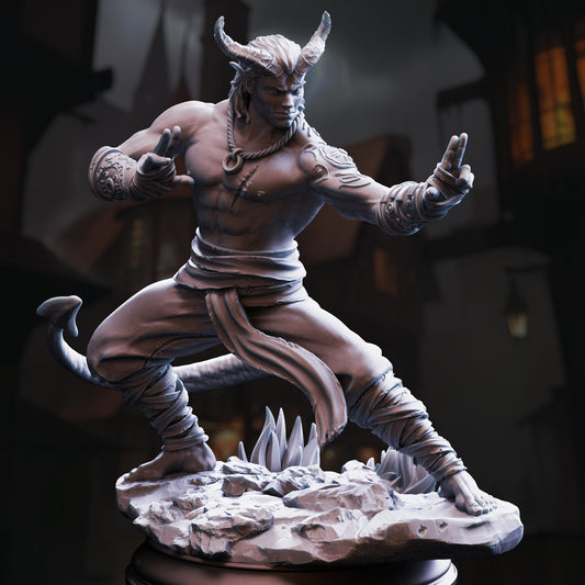 Verek the Heartless - Tiefling Monk