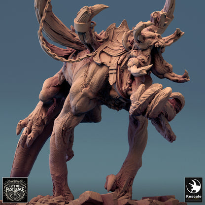 Vorath - Saddle - Run