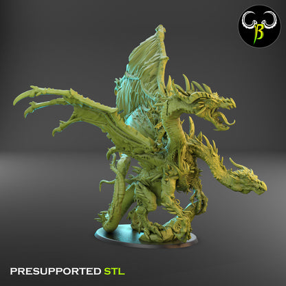 Dark Legion Warlord on Twin-Headed Dragon