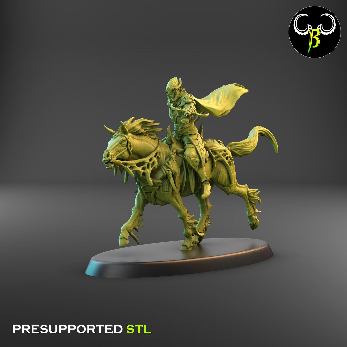 Dark Elf Web Rider 1