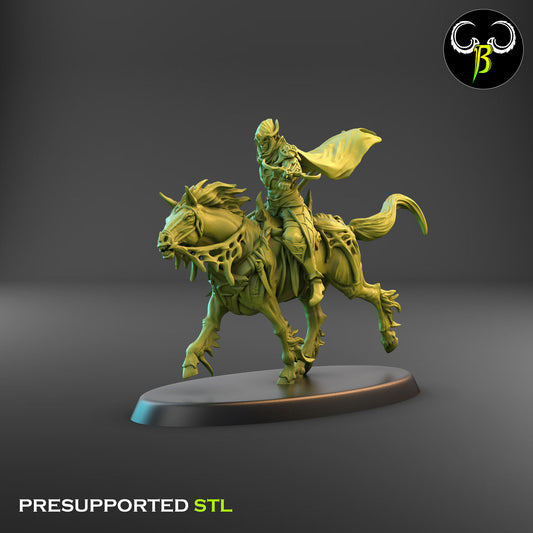 Dark Elf Web Rider 1