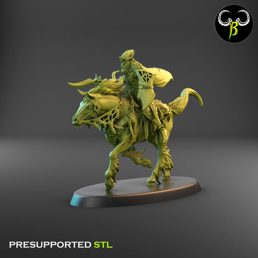 Dark Elf Web Rider 4