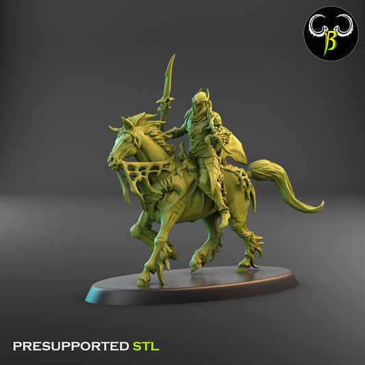 Dark Elf Web Rider 5