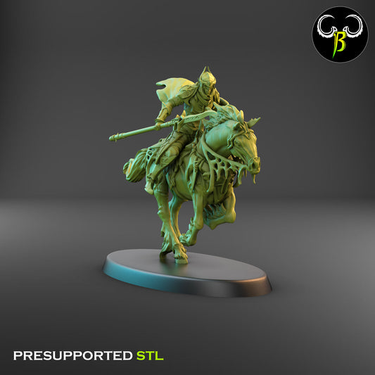 Dark Elf Web Rider 6
