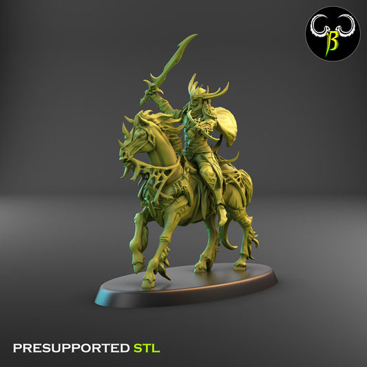 Dark Elf Web Rider Champion