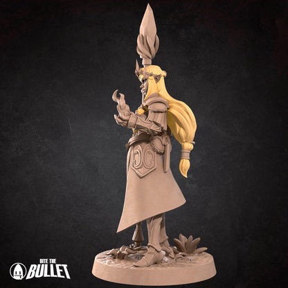 Female Elf Magician - Princess Zeruda
