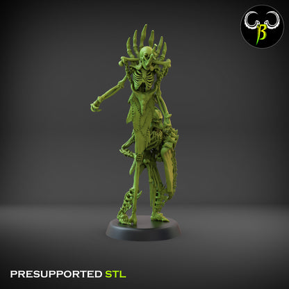 CB Marrow Knights - Boneguard Bannerman