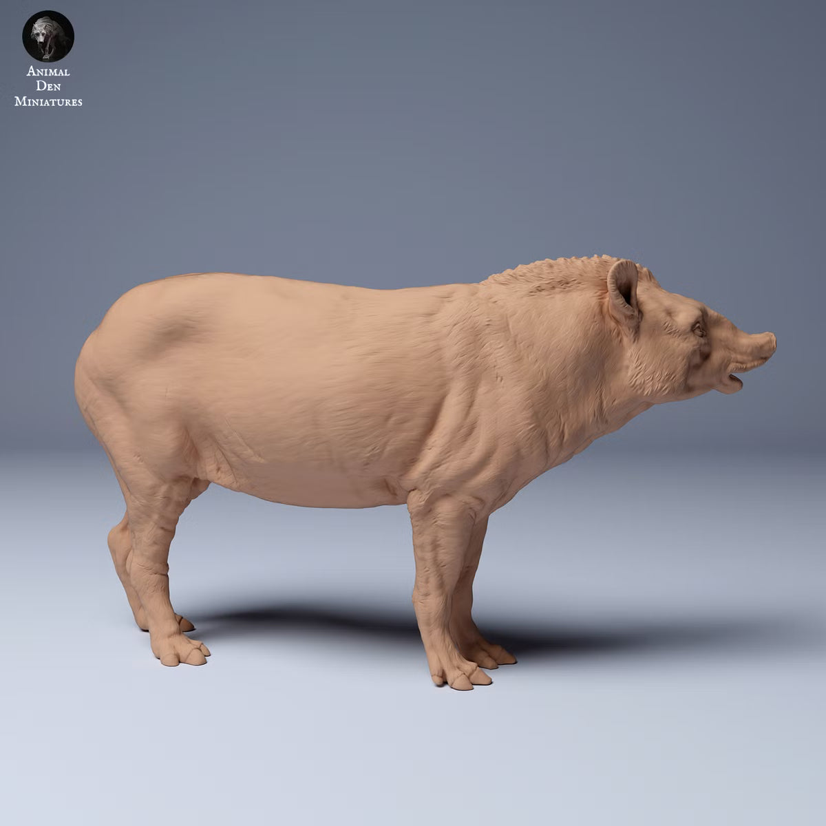 Brazillian Tapir Male - Sniffing