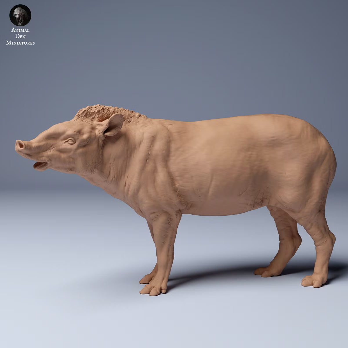 Brazillian Tapir Male - Sniffing