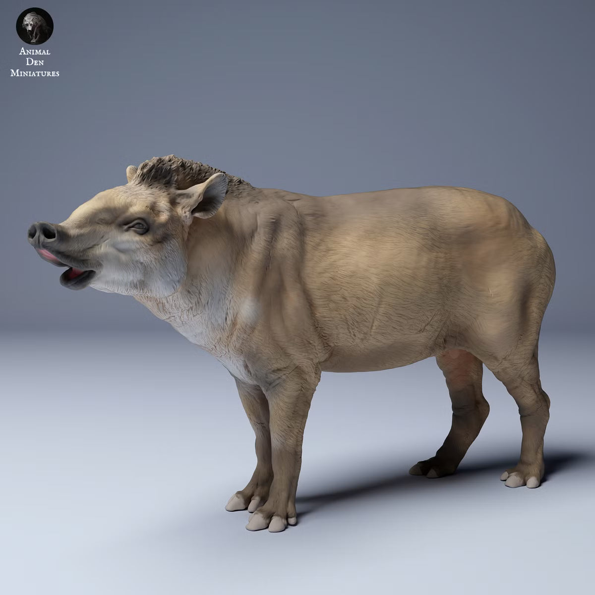 Brazillian Tapir Male - Sniffing