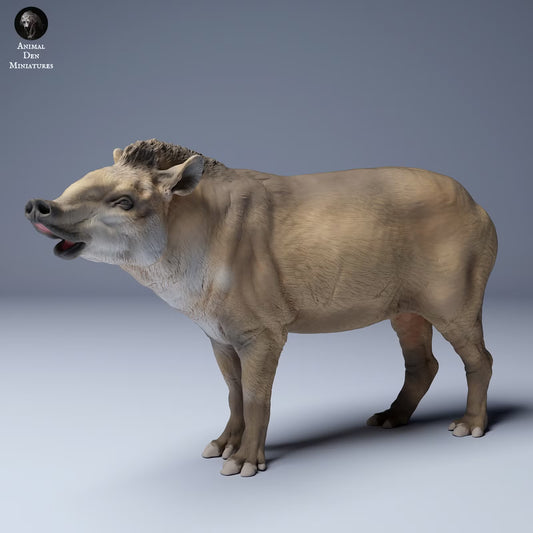 Brazillian Tapir Male - Sniffing