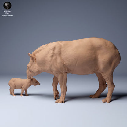 Brazillian Tapir Mother and Calf - Standing