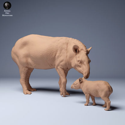 Brazillian Tapir Mother and Calf - Standing