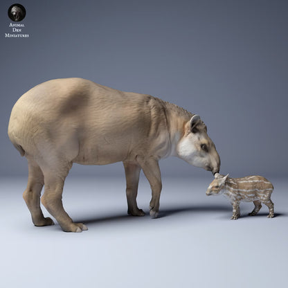 Brazillian Tapir Mother and Calf - Standing