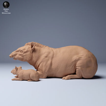 Brazillian Tapir Mother and Calf - laying