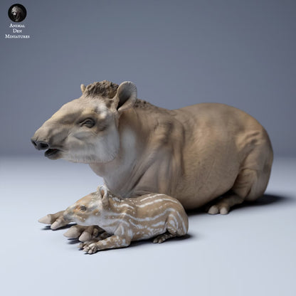 Brazillian Tapir Mother and Calf - laying