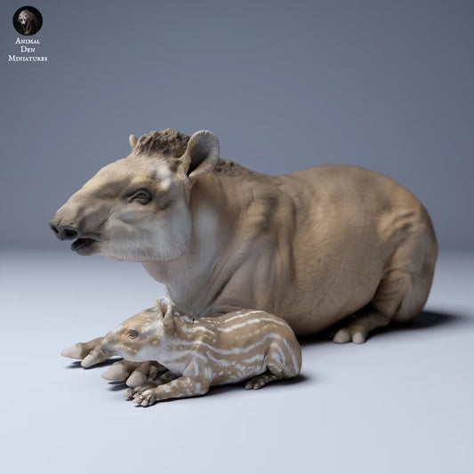 Brazillian Tapir Mother and Calf - laying