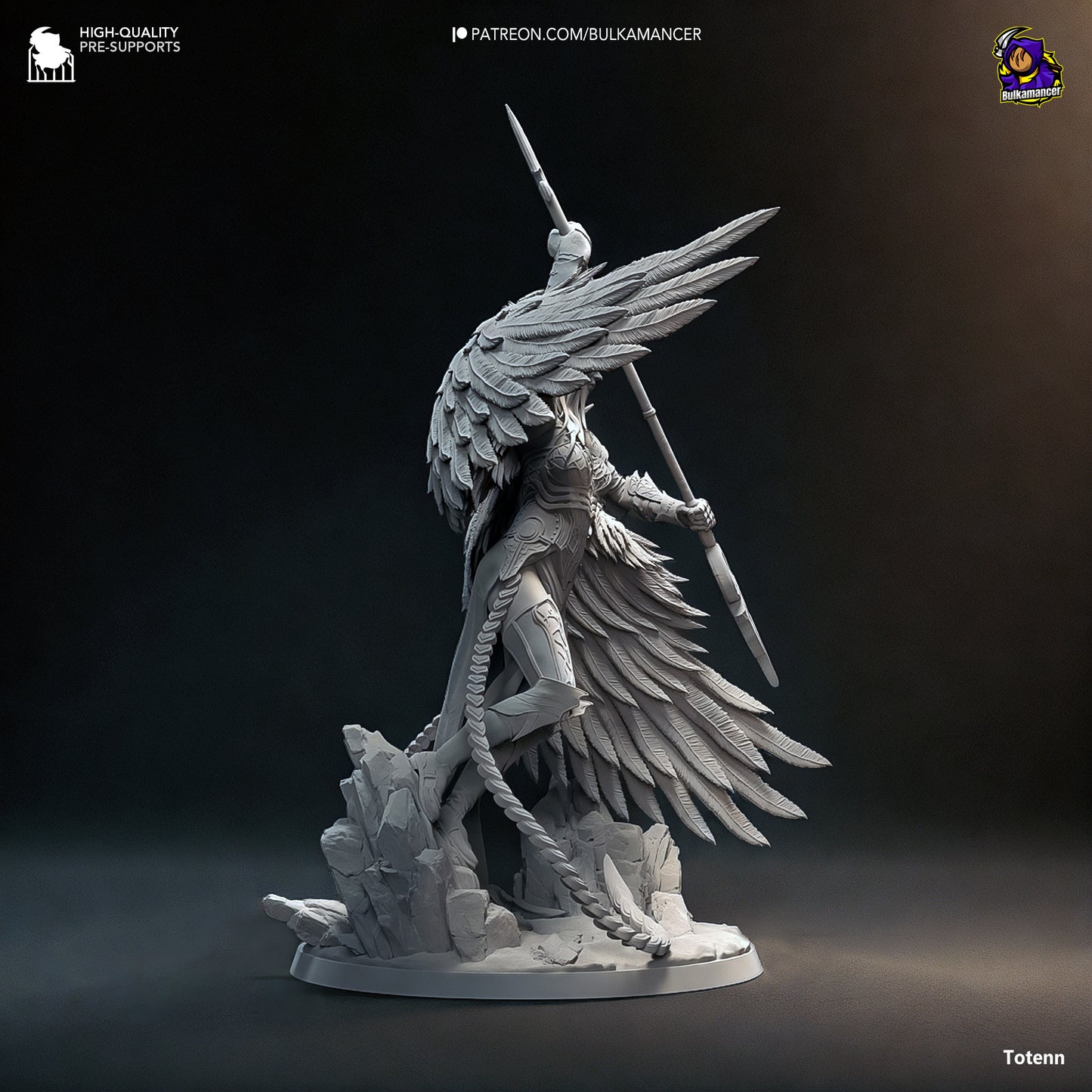 Celestial Purifier - Angel Valkyrie