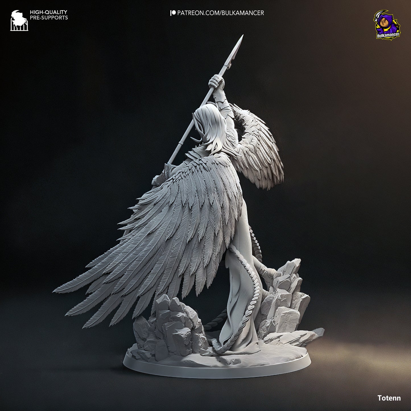 Celestial Purifier - Angel Valkyrie