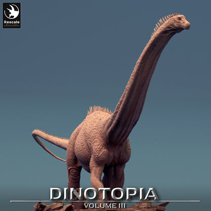 Dinotopia - Diplodocus Caravan - Wild -Spine
