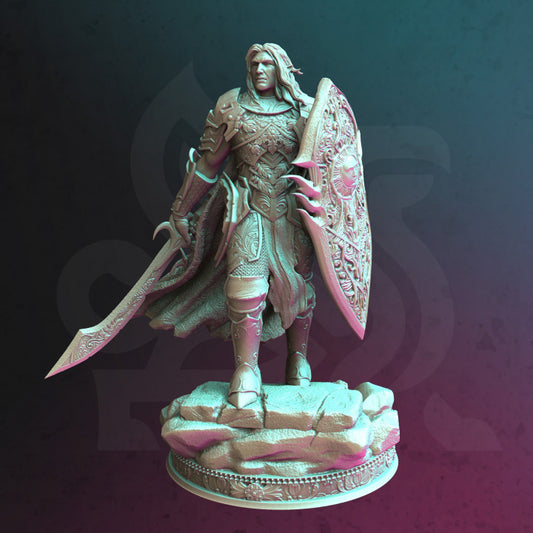 Elf Paladin
