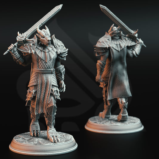 Dragonborn knight 3