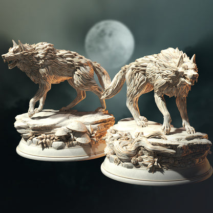 Dire Wolves