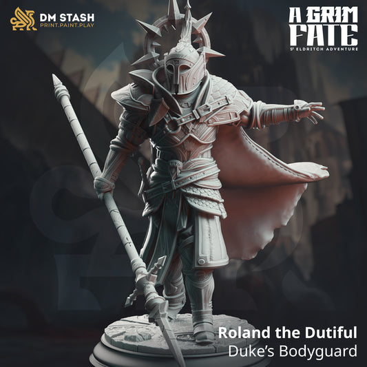Sun Cleric - Male Paladin - Roland - Crusader