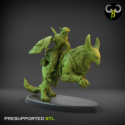 CB Dune Dancers - Sand Reaver - Gryph Riders - 6