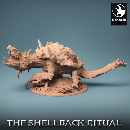 Dragon Turtle - Shellback - RS