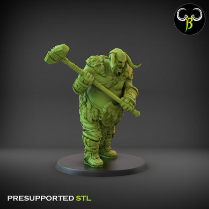 CB - Valahar Chosen - War Hammer - Attack