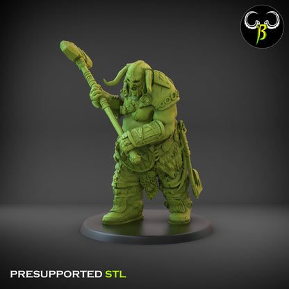 CB - Valahar Chosen - War Hammer - Attack