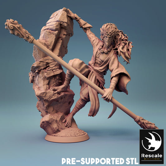 Monkey Warrior - Sun Wukong Climbing